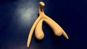 the clitoris printed in 3D