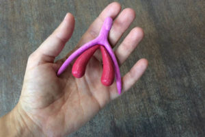 clitoris imprimé en 3D