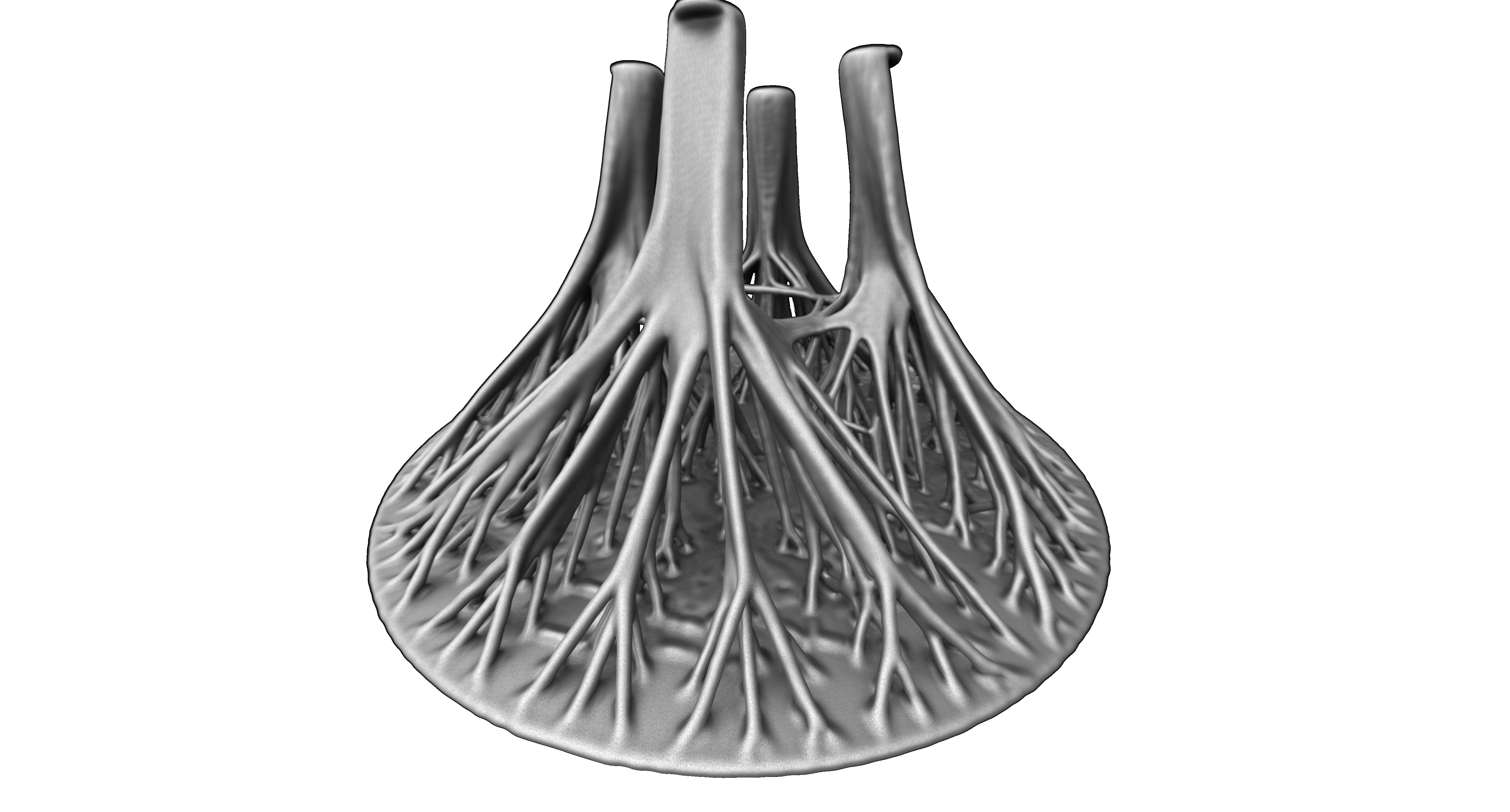 Optimised branching structure from AMendate