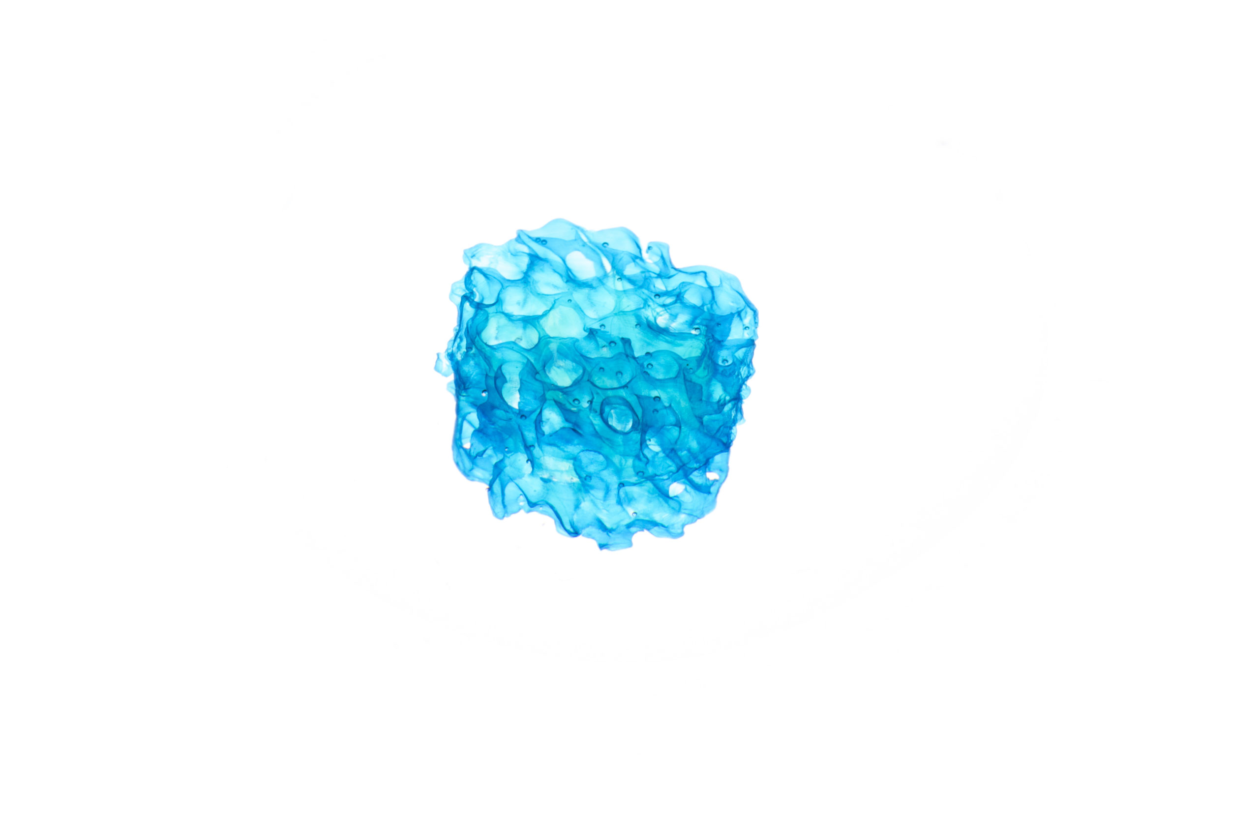 Échantillon bleu de structure osseuse présenté par Readily3D