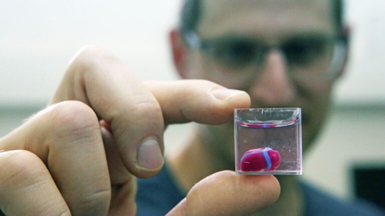 Researcher holding a small heart-shaped bioprinted construct in a container