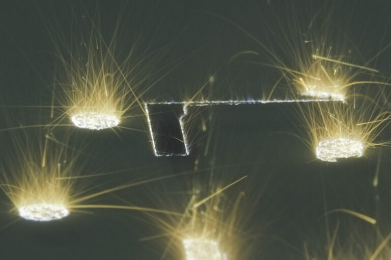 Plusieurs faisceaux laser actifs sur un lit de poudre
