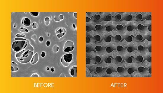 Comparison of membrane structures presented by Evove