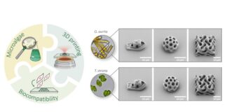 Heidelberg University, 3D laser printing, 3D structures, Odontella Aurita, Tetraselmis Striata