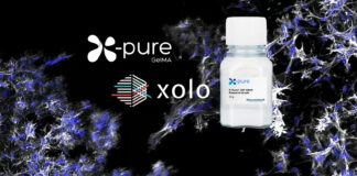 Rousselot, xolo, Bioinks, X-Pure