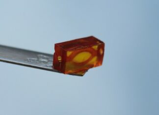 BIO INX launches a gelatin-based DLP resin for 3D bioprinting