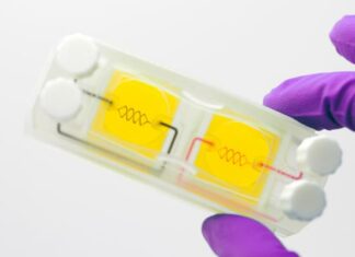 Systemic Bio, a 3D bioprinting startup backed by 3D Systems, ceases operations