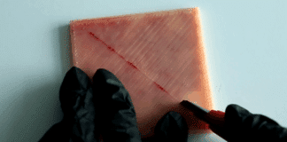 Part that is cut for medical training