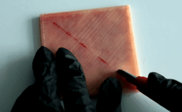 Part that is cut for medical training