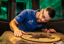 Man looking at a 3D printed part