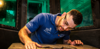 Man looking at a 3D printed part