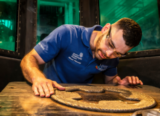 The maritime industrial base steals the spotlight at AMS 2026 Man looking at a 3D printed part