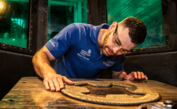 Man looking at a 3D printed part