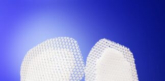 Osteopore's 3D scaffold tissue