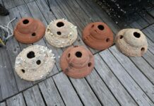 USACE turns dredged sediment into 3D-printed oyster reefs to bolster coastal resilience