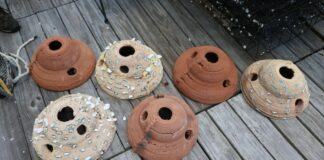 USACE turns dredged sediment into 3D-printed oyster reefs to bolster coastal resilience