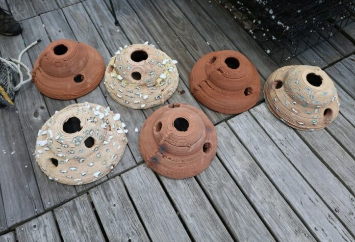 3D printed oyster reefs