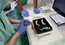A medical team practicing on a 3D printed silicone aorta. Credit: Lynxter.