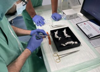 A medical team practicing on a 3D printed silicone aorta. Credit: Lynxter.