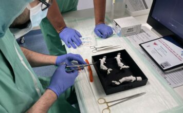 A medical team practicing on a 3D printed silicone aorta. Credit: Lynxter.