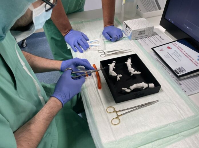 A medical team practicing on a 3D printed silicone aorta. Credit: Lynxter.